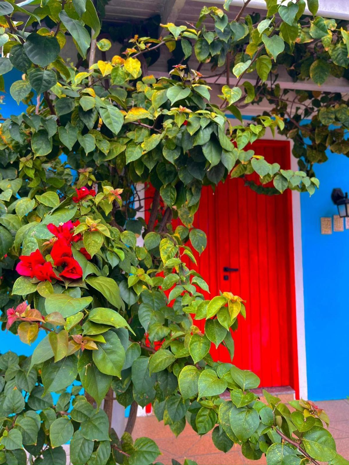 Pequi Hostel Флорианополис Экстерьер фото