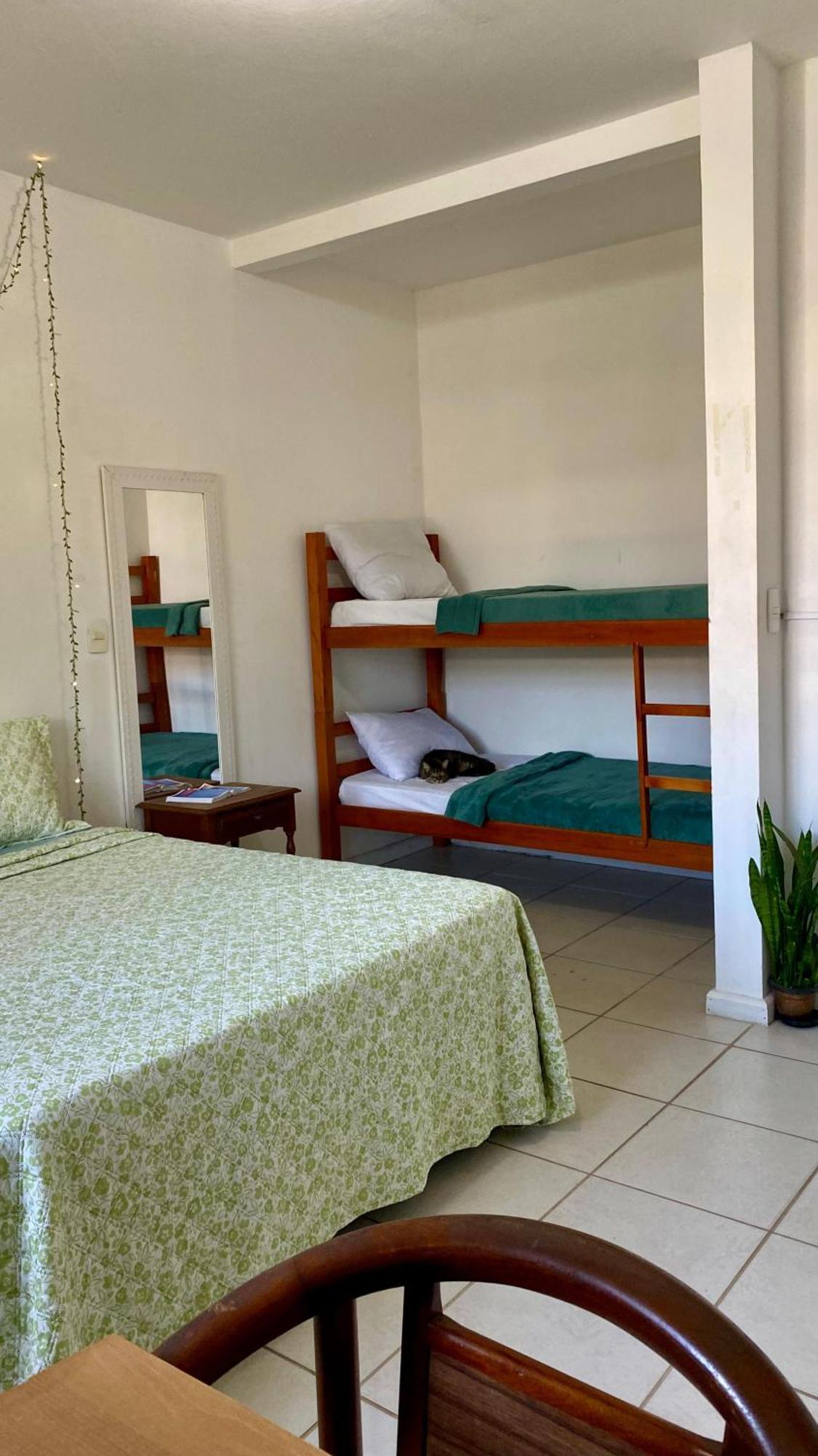 Pequi Hostel Флорианополис Экстерьер фото